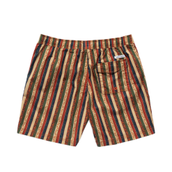 Costume Banks Journal Natural Selection Terracotta -Vendite Snowboarding BanksJournal NaturalSelectionBoardshortTerracotta 2