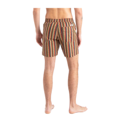 Costume Banks Journal Natural Selection Terracotta -Vendite Snowboarding BanksJournal NaturalSelectionBoardshortTerracotta 4