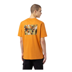 T-Shirt Dickies Artondale Ocra -Vendite Snowboarding Dickies ArtondaleBoxTeeGoldenOchreLiquido