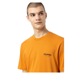 T-Shirt Dickies Artondale Ocra -Vendite Snowboarding Dickies ArtondaleBoxTeeGoldenOchre 3