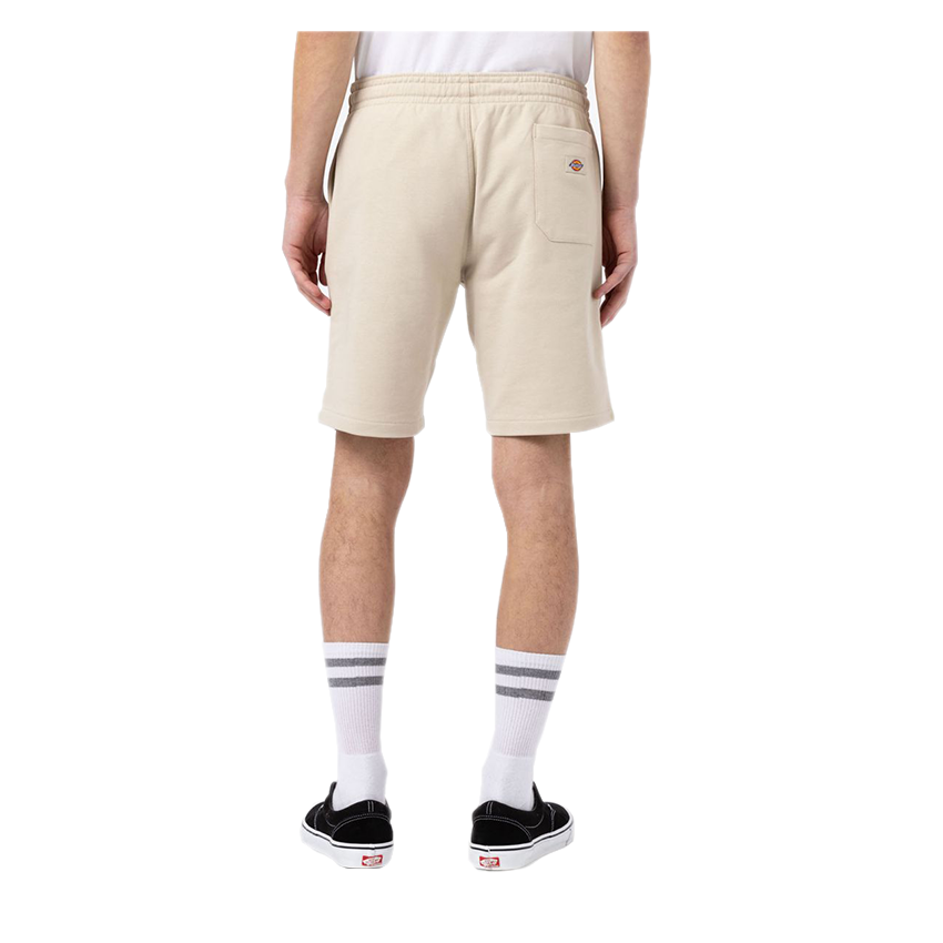 Bermuda Dickies Champlin Cemento 4 Bermuda Dickies Champlin Cemento - immagine 2