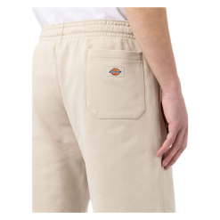 Bermuda Dickies Champlin Cemento 9 Bermuda Dickies Champlin Cemento -Vendite Snowboarding Dickies ChamplinShortCement 4