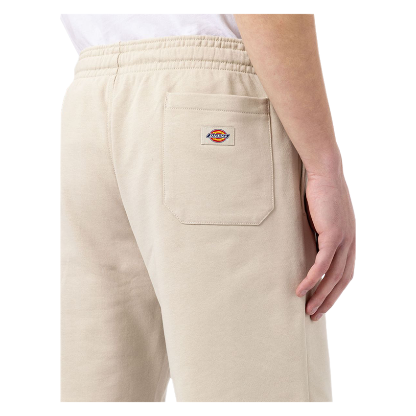 Bermuda Dickies Champlin Cemento 6 Bermuda Dickies Champlin Cemento - immagine 4
