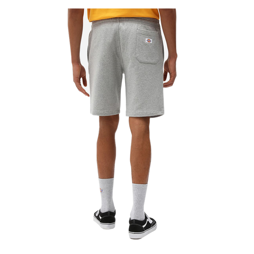 Bermuda Dickies Champlin Grigio 4 Bermuda Dickies Champlin Grigio - immagine 2