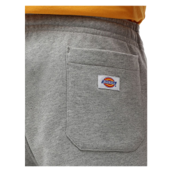 Bermuda Dickies Champlin Grigio 7 Bermuda Dickies Champlin Grigio -Vendite Snowboarding Dickies ChamplinShortGrey 3