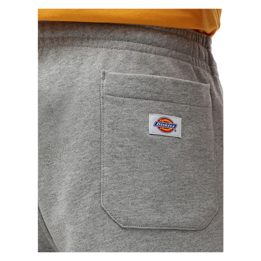 Bermuda Dickies Champlin Grigio 5 Bermuda Dickies Champlin Grigio - immagine 3