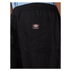 Pantalone Dickies Mount Vista Nero -Vendite Snowboarding Dickies MountVistaPantBlack 4