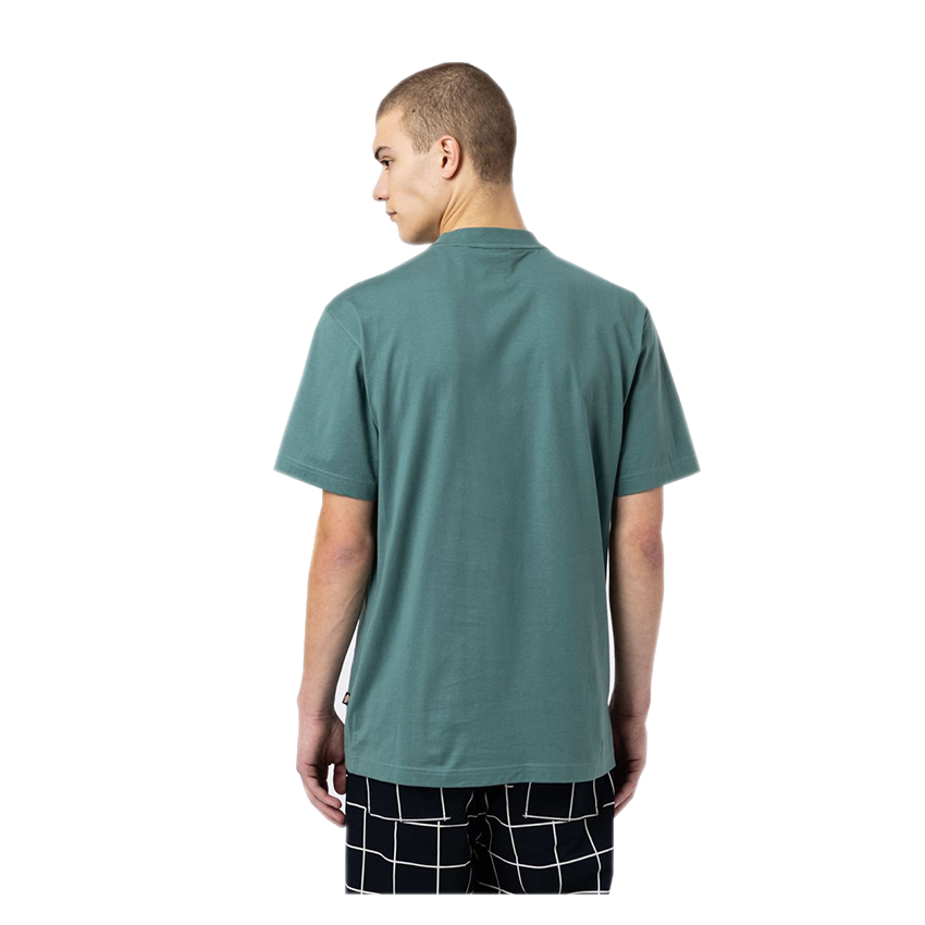 T-Shirt Dickies Mount Vista Verde Salvia 4 T-Shirt Dickies Mount Vista Verde Salvia - immagine 2