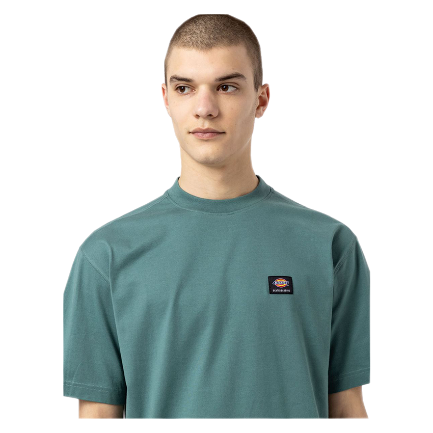 T-Shirt Dickies Mount Vista Verde Salvia 5 T-Shirt Dickies Mount Vista Verde Salvia - immagine 3