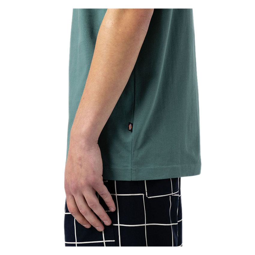 T-Shirt Dickies Mount Vista Verde Salvia 6 T-Shirt Dickies Mount Vista Verde Salvia - immagine 4