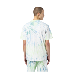 T-Shirt Dickies Seatac Tye Dye Verde -Vendite Snowboarding Dickies T ShirtSeatacCeladonGreen 2