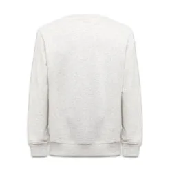 Felpa Dickies Aitkin Grigio 5 Felpa Dickies Aitkin Grigio -Vendite Snowboarding DickiesAitkinFelpaGrey 2