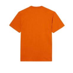 T-Shirt Dickies Mount Vista Tee Arancione -Vendite Snowboarding DickiesMountVistaTeeBurntOrange 2