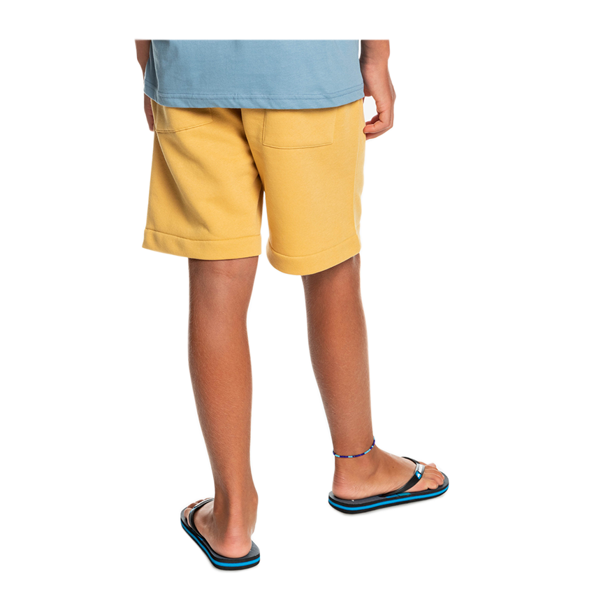 Bermuda Quiksilver Jr Stri Roots Up Beige 4 Bermuda Quiksilver Jr Stri Roots Up Beige - immagine 2