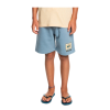 Bermuda Quiksilver Jr Stri Roots Up Ceruleo 2 Bermuda Quiksilver Jr Stri Roots Up Ceruleo -Vendite Snowboarding Quiksilver StirRootsUpShortsYouthCeruleoLiquido