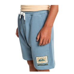 Bermuda Quiksilver Jr Stri Roots Up Ceruleo -Vendite Snowboarding Quiksilver StirRootsUpShortsYouthCeruleo 3