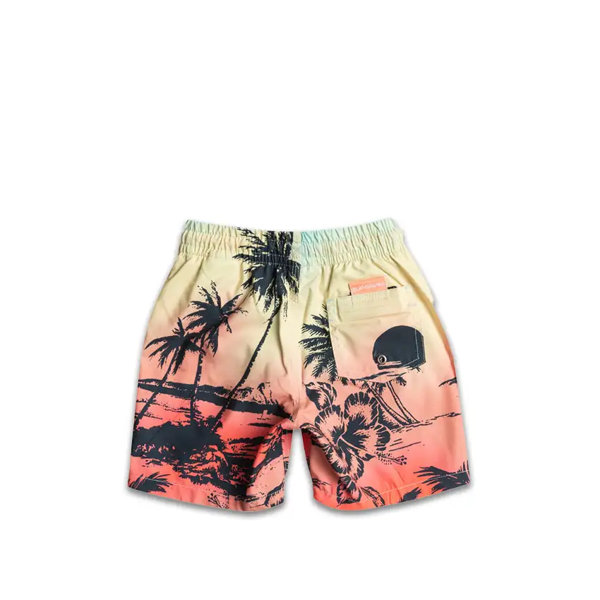 Costume Quiksilver Bambino Everyday Paradise Rosso 4 Costume Quiksilver Bambino Everyday Paradise Rosso - immagine 2
