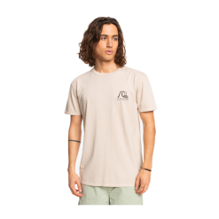 T-Shirt Quiksilver New Wave Beige -Vendite Snowboarding QuiksilverNewWaveTeeBirch 3