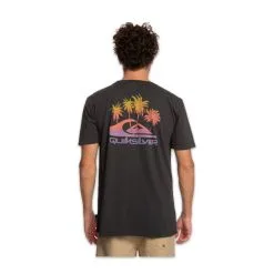 T-Shirt Quiksilver Pastime Paradise Nero 9 T-Shirt Quiksilver Pastime Paradise Nero -Vendite Snowboarding QuiksilverPastimeParadiseTeeBlack 4
