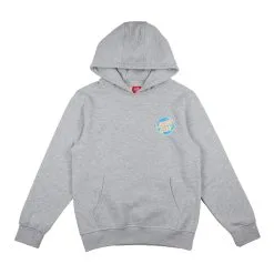 Felpa Santa Cruz Bambino Roskoop Frame Grigio