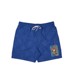 Costume Santa Cruz Split Strip Blu -Vendite Snowboarding SantaCruz SplitStripSwimshortRoyal 2