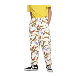 Pantalone Santa Cruz Classic Label Multi