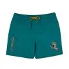 Costume Santa Cruz Holo Hand Verde -Vendite Snowboarding SantaCruzHoloHandSwimshortVerdigrisLiquido