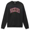 Dickies Felpa Dikies Aitkin Nero -Vendite Snowboarding dk0a4xabblk1 13