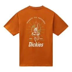 T-shirt Dickies Bettles Arancio -Vendite Snowboarding dk0a4xhfb831 14